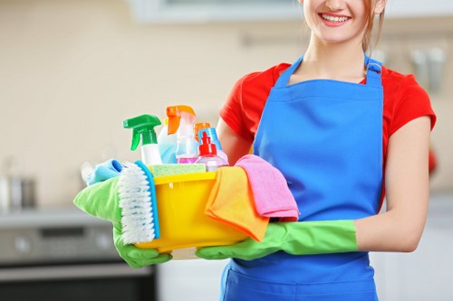 Regular cleaning service for a home in NW3