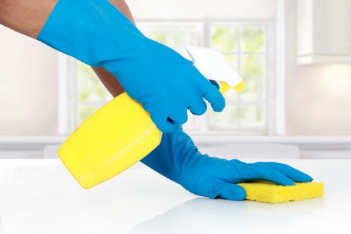 Cleaner maintaining a flat kitchen in NW3