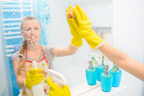 Professional window cleaning for a flat or mansion block in NW3